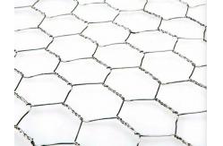 China HDG Plaster Reinforcement Mesh 0.9mm Diameter Plastering Chicken Wire Mesh supplier