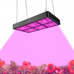 Low Power Consumption Indoor LED Grow Light Full Spectrum Growth Light 400W - 800w for sale