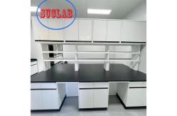 China Lab Setup with Customizable and Integrated Structure Modular Lab Furniture Manufacturer Hong Kong supplier