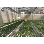 High Yield Agriculture Hydroponic Growing System Greenhouse NFT Growing Troughs