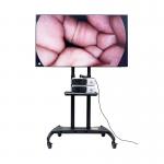 3840x2160p Ultra 4K Endoscope Camera Medical Monitor 55inch for sale