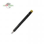 Diesel Common Rail Fuel Injector EJBR05601D 166000897R