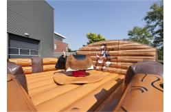 China Inflatable Riding Mechanical Bull Rodeo Ride , Inflatable Mechanical Bull Mattress supplier