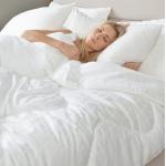 Supply High Quality Hotel Goose Down Quilt for sale