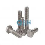 SS304 316 DIN 931 Half Thread ISO898-1 High Tensile Hex Bolt
