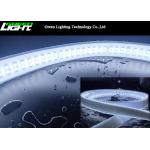 24V 36V 144LEDs 0.25W Low Voltage LED Strip Light Silicone Unibody for sale