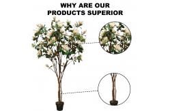 China 210cm Artificial Magnolia Tree For House Office Long Lasting Evergreen Plants supplier