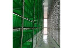 China OEM 8KW Green Barley Hydroponic Fodder Container Environmentally Friendly supplier