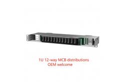 China 12 Way MCB  Data Center Rack PDU Power Distribution Unit 1U supplier