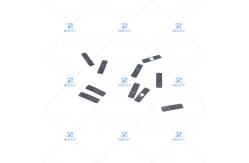 China FUJI NXT W08C FEEDER PLATE 2MDLFA032200 FUJI Feeder Part supplier