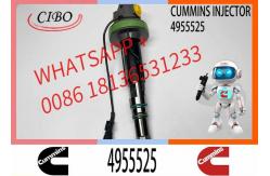 China Diesel QSK19 Engine Common Rail Fuel Injector 4955524 4955525 2867149 2882079 4964173 supplier