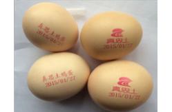 China Metal / Plastic / Aluminum Foil Jet Coding Machine / Egg Spraying Machine supplier
