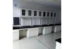China ISO Lab Island Bench 85cm Chemical Resistant Wall Mounted Workstation supplier