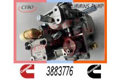 China Cummins  NT855 M11 Diesel Engine Fuel Injection Pump 3883776 4951390 supplier