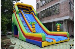 China Simple Large Inflatable Dry Slide / Bright Colour Palm Tree Slides supplier