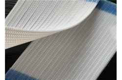 China High Filtration Accuracy Low Air Permeability Polyester Mesh Belt supplier