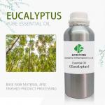 Eucalyptus Essential Oil Bulk 100% Pure Natural 25kg USDA OEM for sale