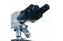 China University Student Biological Microscope Polarizing Microscopes , CE Rohs A11.0208 supplier