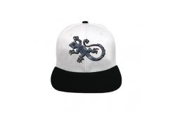 China Creative Design Flat Brim Snapback Hats Cloth Embroidery On Panels supplier