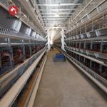 Q235 Hot  Galvanized Poultry Farm Automatic Battery Egg Layer Chicken Laying Hens Cages for sale