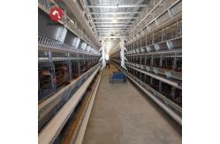 China Q235 Hot  Galvanized Poultry Farm Automatic Battery Egg Layer Chicken Laying Hens Cages supplier