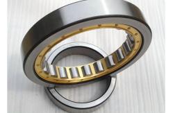 China High Precision Cylindrical Single Row Roller Bearings N1016M 80*125*22mm supplier
