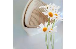 China                  Triangle Ratton Banneton Bread Proofing Basket              supplier