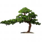 200cm Artificial Landscaping Trees Plant Welcome Pine Ornaments for sale