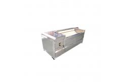 China 5t/H Adjustable Speed Fruit Vegetable Processing Equipment Washer supplier