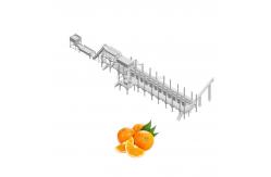 China Automatic Citrus Processing Machine For Fruit Juice supplier