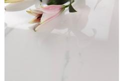 China Renewable Marble Look Porcelain Tile Acid Resistant Fine Air Permeability supplier