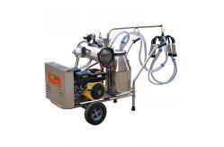 China 50KPa Single Bucket Trolley Milking Machine With Gasoline Engine supplier