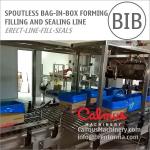 Bag in Box Line for Packaging Margarine Shortening Semi-Liquids for sale