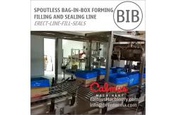 China Spoutless Carton Liner Bag in Box Filling and Packaging Line for Fluids supplier