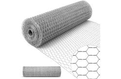 China Factory supply 1 chicken hot dipped galvanised hexagonal wire mesh supplier