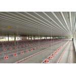 Pan Feeding SS304 3.5m Broiler House Equipment For Chicken for sale