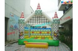 China CE / EN14960 Hiring Bouncy Castles Beautiful Printing Inflatable Jumper supplier