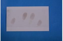 China C167 White low gloss fingerprint backing sheet supplier