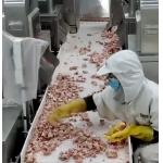 20 Bag / Min Multihead Weigher Packing Machine For Icy Meat Bone Product for sale
