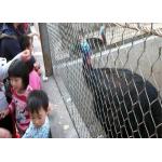 SS316 Aviary Zoo 4.0mm Wire Rope Mesh For Bird Cages for sale