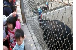 China SS316 Aviary Zoo 4.0mm Wire Rope Mesh For Bird Cages supplier