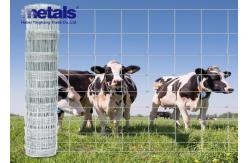 China Easily Assembled Hot Dipped Galvanized Garden Fence Waterproof supplier