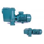 Stainless Metal Variable Speed Water Pump , Swimming Pool Water Booster Pump for sale