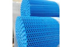 China                  Transport PP POM PE Modular Plastic Conveyor Belt              supplier