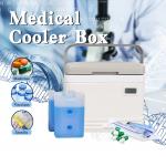 Temperature Display Medical Cooler Box for Cold Chain Storage and Transportation for sale