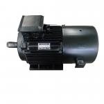 IP54 IP55 IP68 Three Phase Permanent Magnet Motor High Torque Low Noise for sale