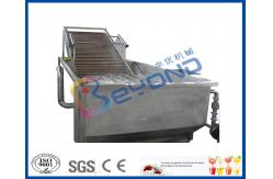 China Stepless Shift Fruit And Vegetable Processing Device , Fruit And Vegetable Washer Machine supplier