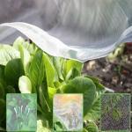 Fine Mesh Garden Netting Anti Bird And Insect For Garden Protection