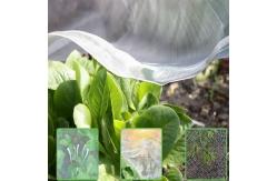 China Fine Mesh Garden Netting Anti Bird And Insect For Garden Protection supplier