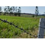 Construction Protection Galvanized/Galvanized Barbed Wire Price Per Roll for sale